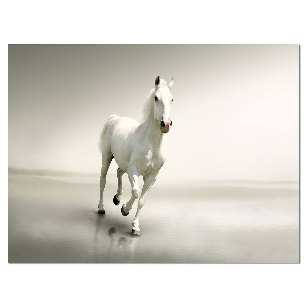 Designart - Beautiful White Horse Running - Animal Canvas Art Print